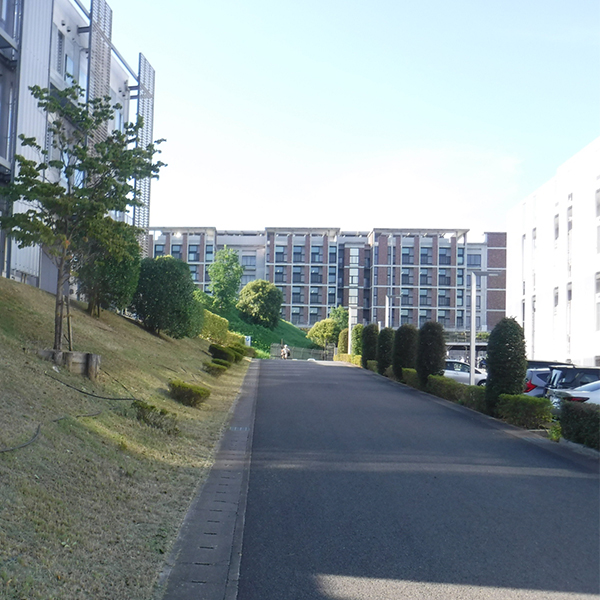 造園土木工事